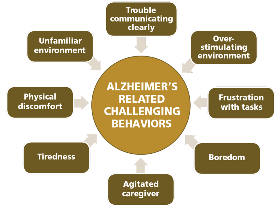 PDF) Aggressive behavior in the relationship between old and the family  caregiver in dementias